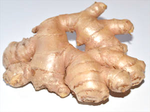 Ingwerwurzel (Zingiberis rhizoma)