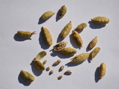 Kardamomfrüchte (Cardamomi fructus)